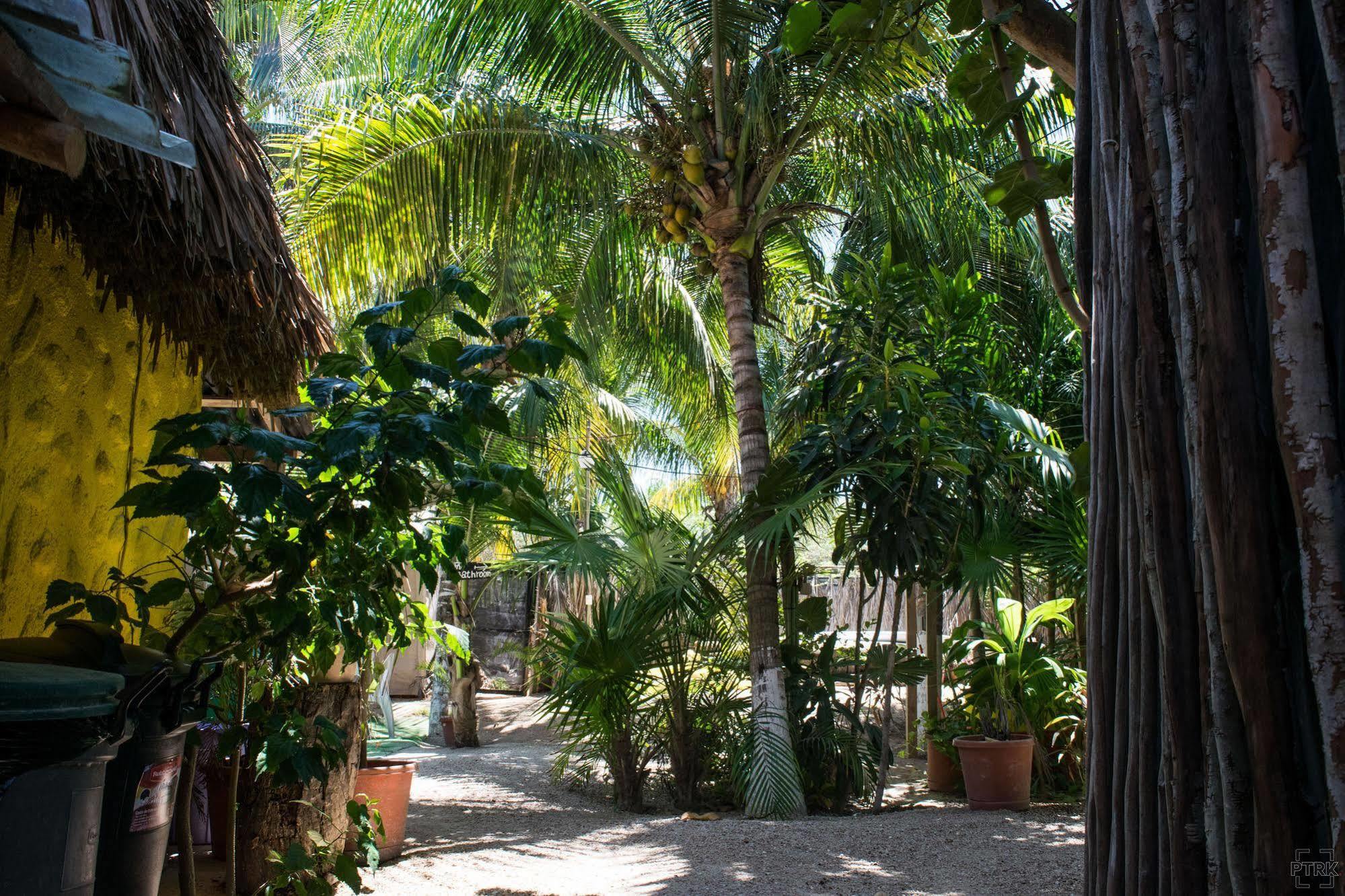 Casa Maya Holbox Ilha Holbox Exterior foto